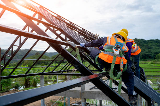 Professional Roofing Contractor in Reed City, MI