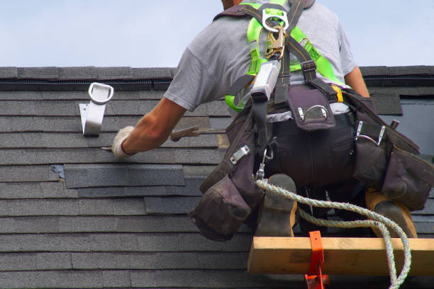 Best Shingle Roofing Installation  in Reed City, MI