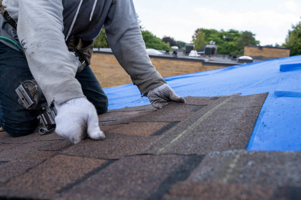 Best Residential Roofing Contractor  in Reed City, MI