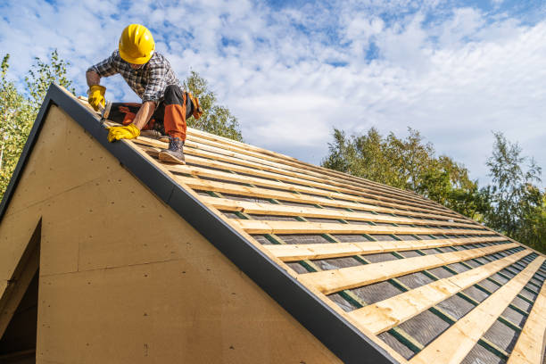 Roof Gutter Cleaning in Reed City, MI