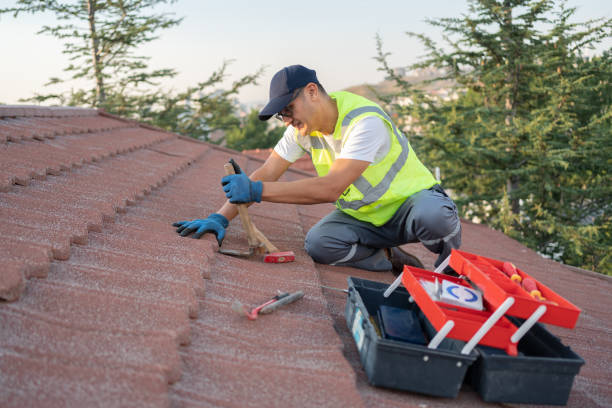 Best Roof Repair Services  in Reed City, MI