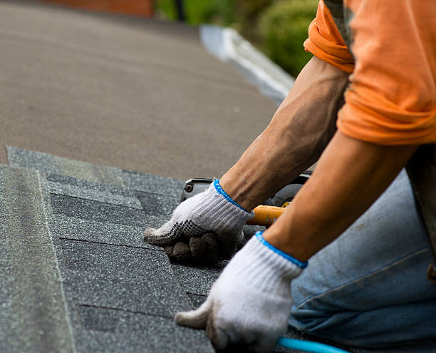 Best Roof Inspection Near Me  in Reed City, MI